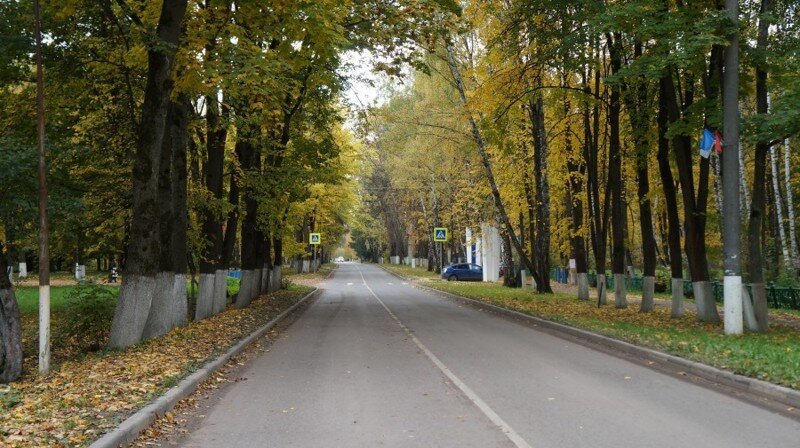 Путешествие в мир небесных птиц