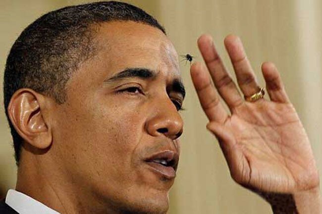 Обама "признался", что сам не знает, как стал нобелевским мирным лауреатом