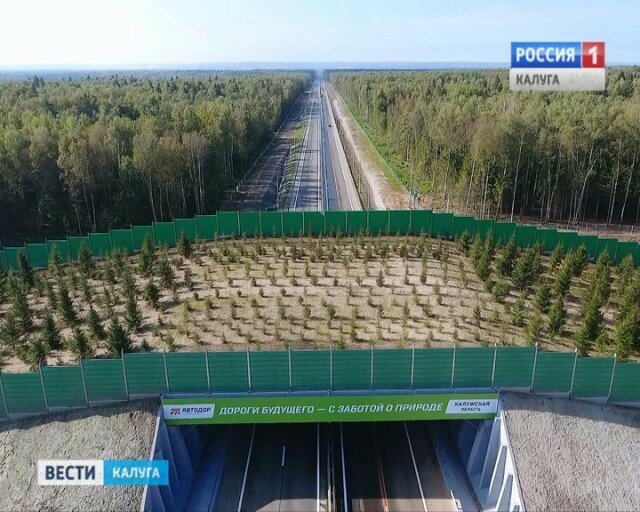 Второй в России экодук открыли в Калужской области