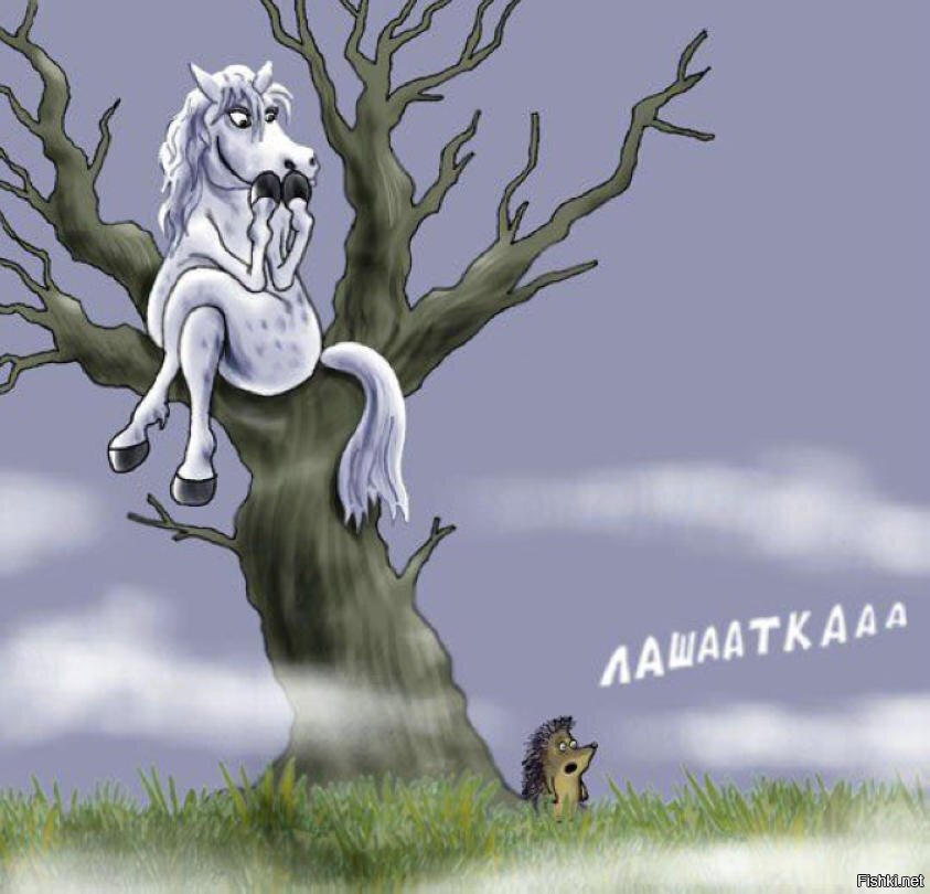 Из солянки