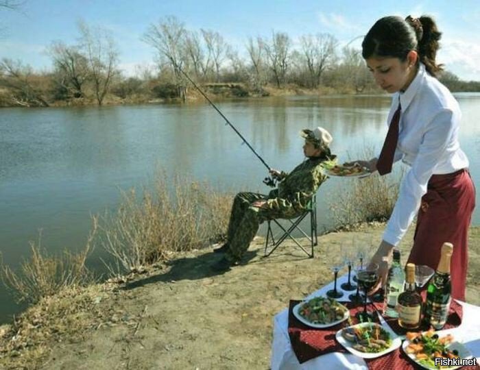 Из солянки