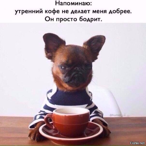Из солянки