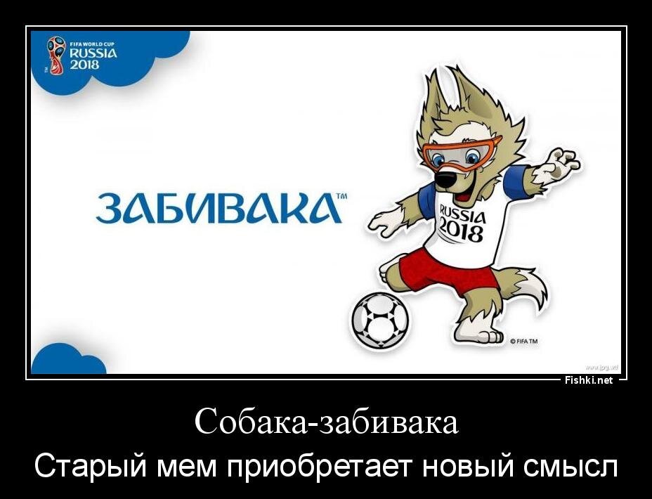 Из солянки