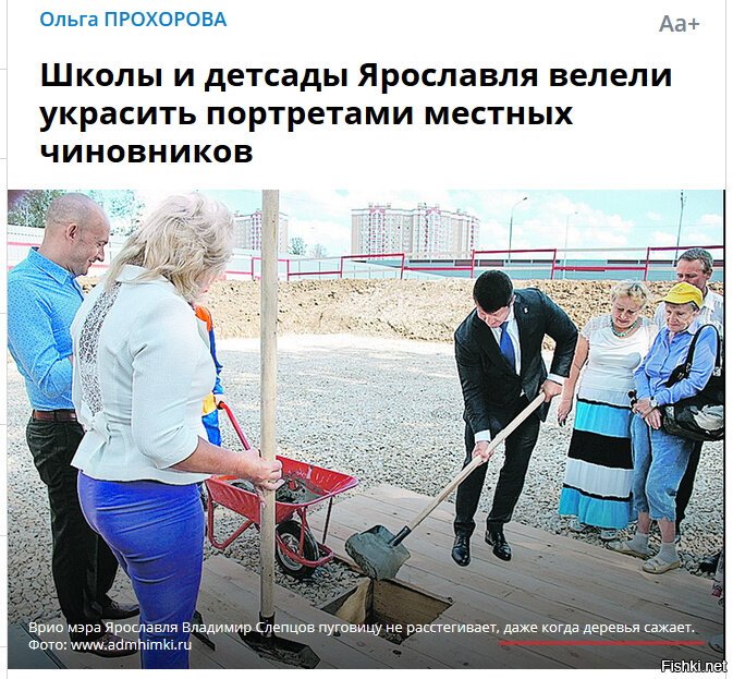 Ярославские чиновники настолько суровые, что сажают деревья только в бетон