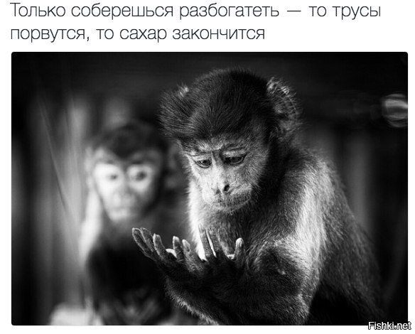 Из солянки