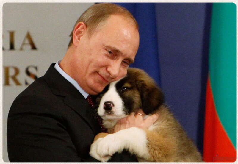Путин без цензуры: «Удивительные идиоты» из Лемурии!