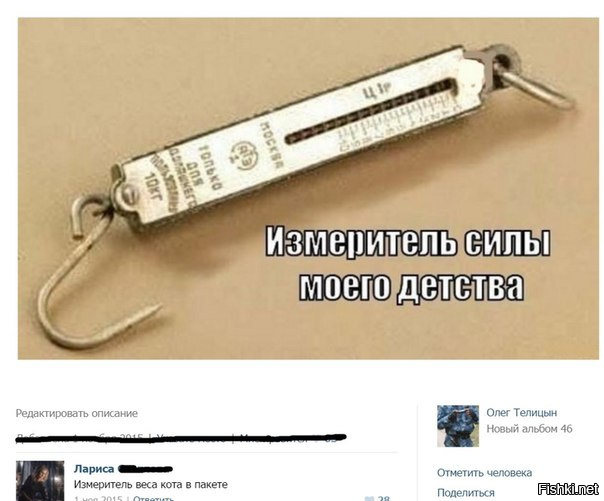 Из солянки