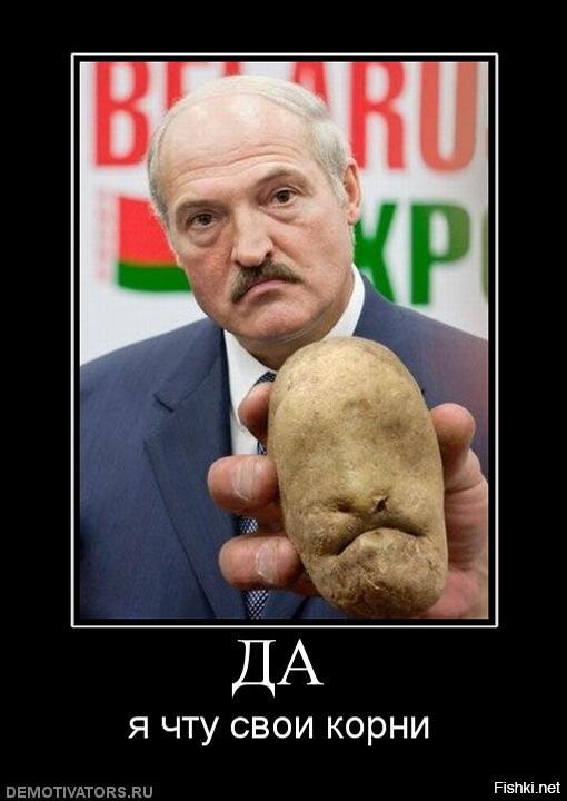 Из солянки
