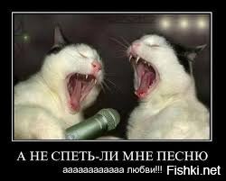 Из солянки