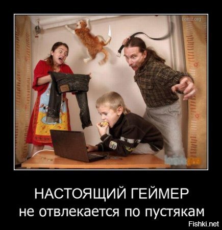 Из солянки