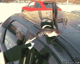 Из солянки