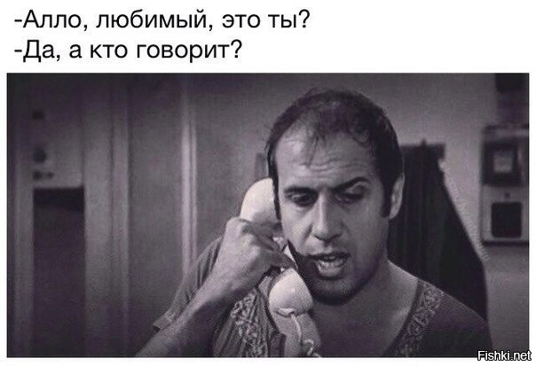 Из солянки