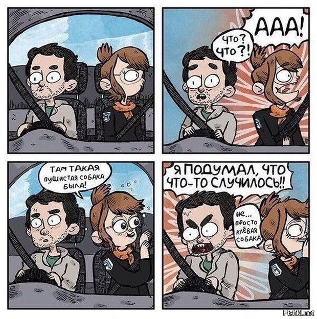 Из солянки