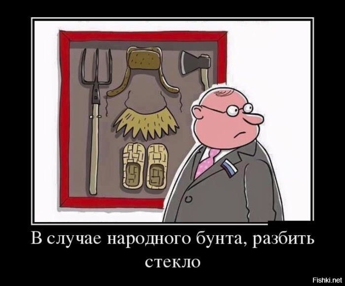 Из солянки