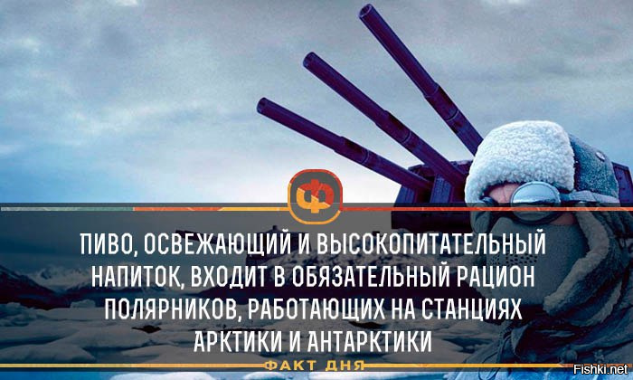 Из солянки
