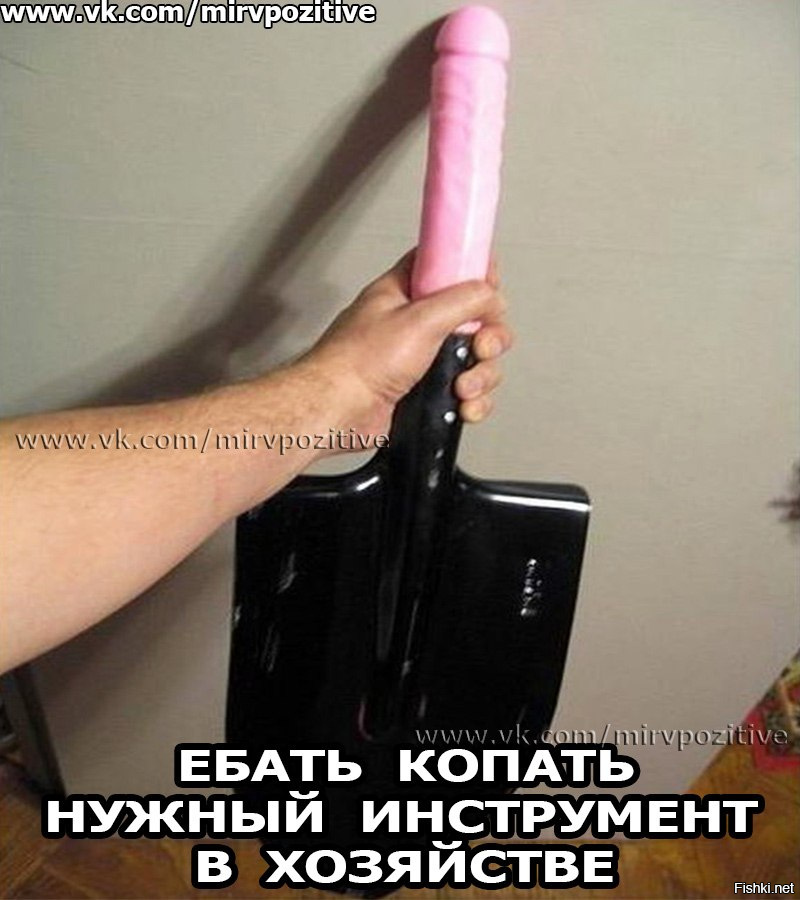 Из солянки