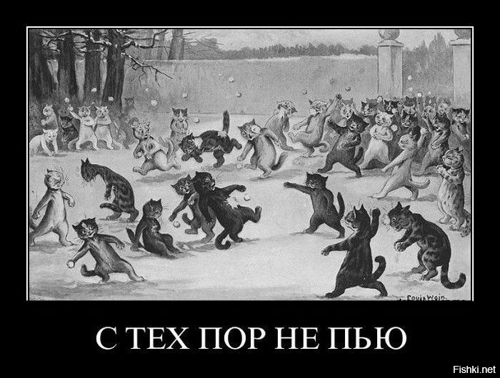 Из солянки