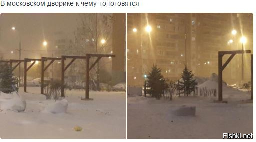 Из солянки