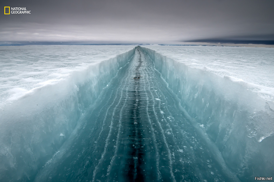 Треснувший лед на поверхности моря Росса в Антарктиде