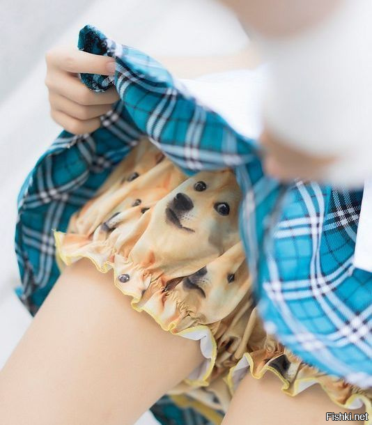 Из солянки
