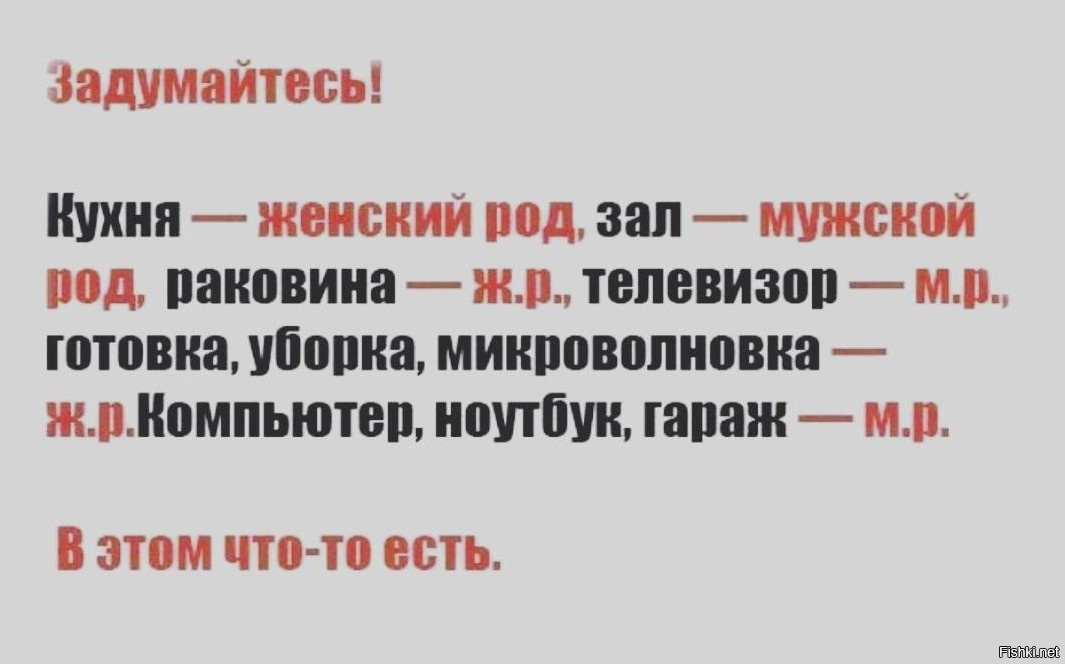 Из солянки