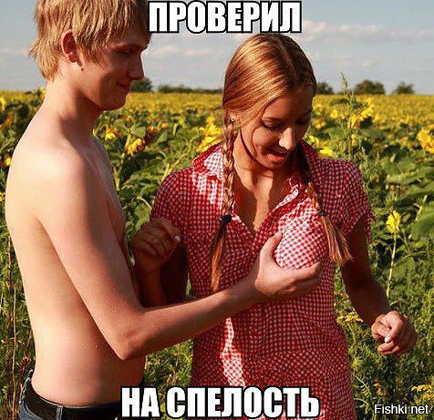Из солянки