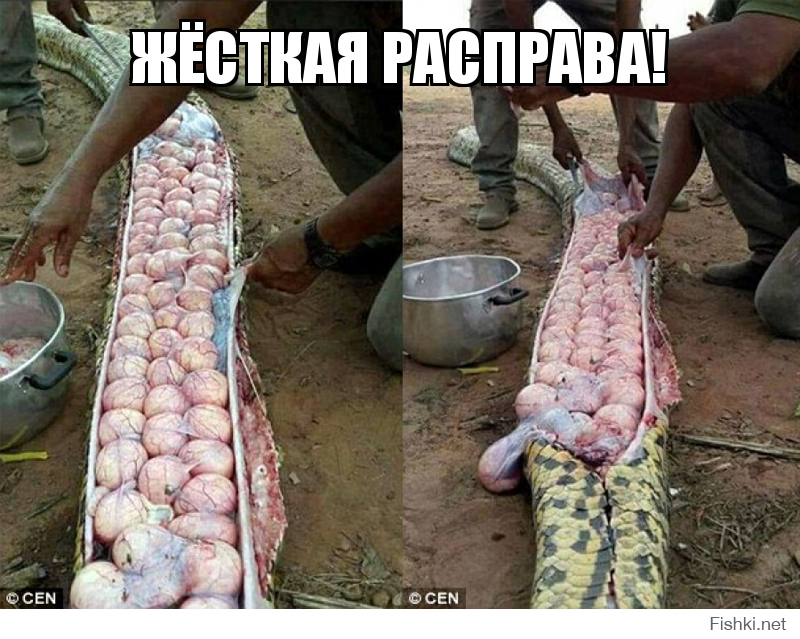 Жёсткая Расправа!