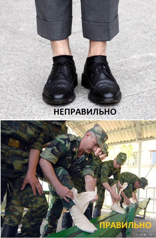 Из солянки