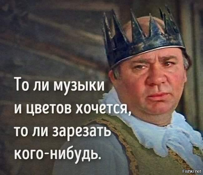 Из солянки