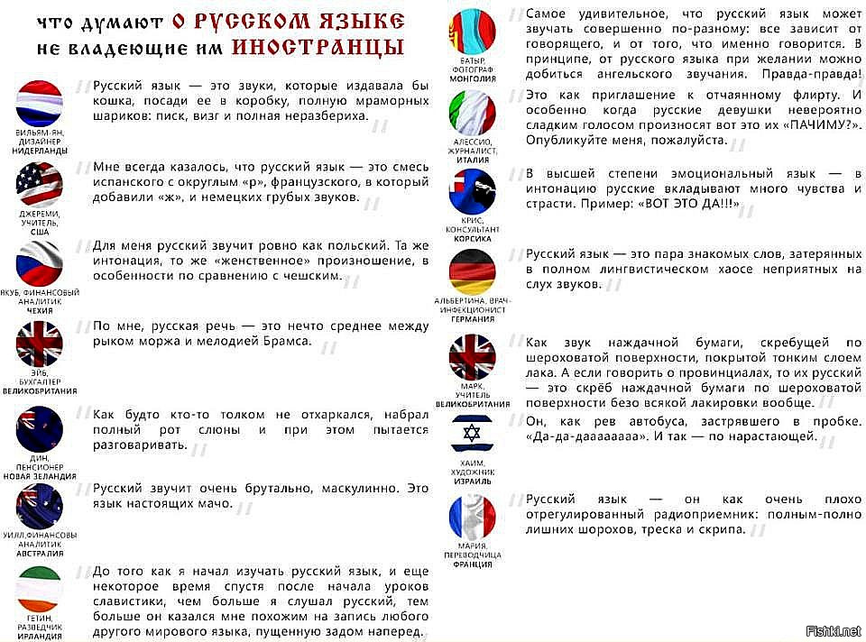Из солянки