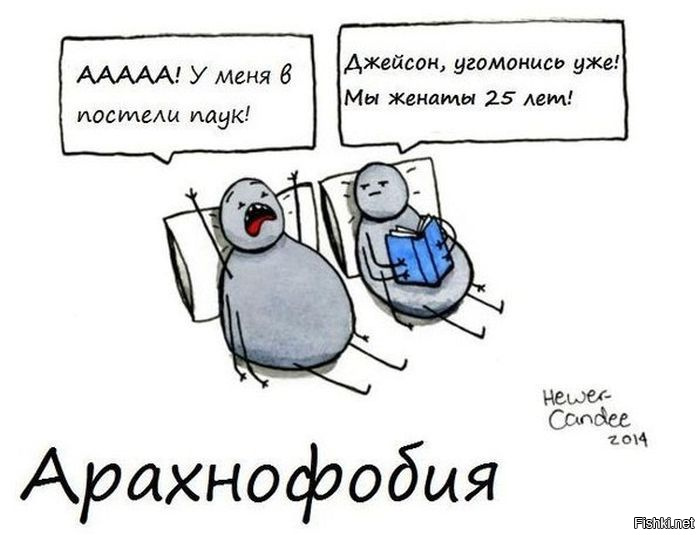 Из солянки