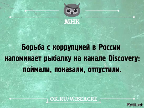 Из солянки