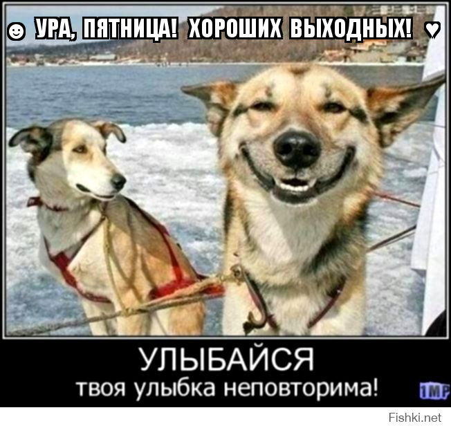 ☻  УРА,  ПЯТНИЦА!   ХОРОШИХ  ВЫХОДНЫХ!   ♥  