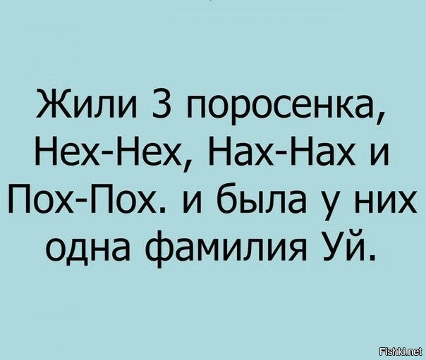 Из солянки