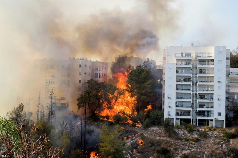 Израиль в огне: в результате террористических поджогов Хайфы эвакуированы 60 000 человек