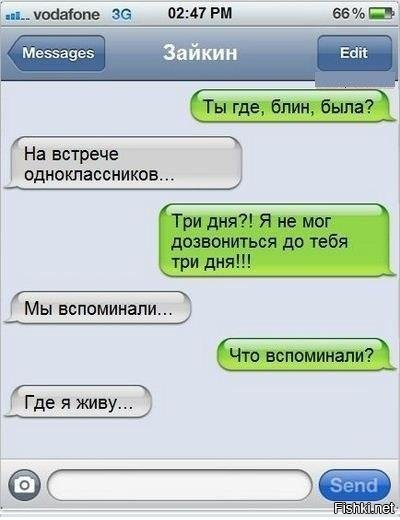 Из солянки
