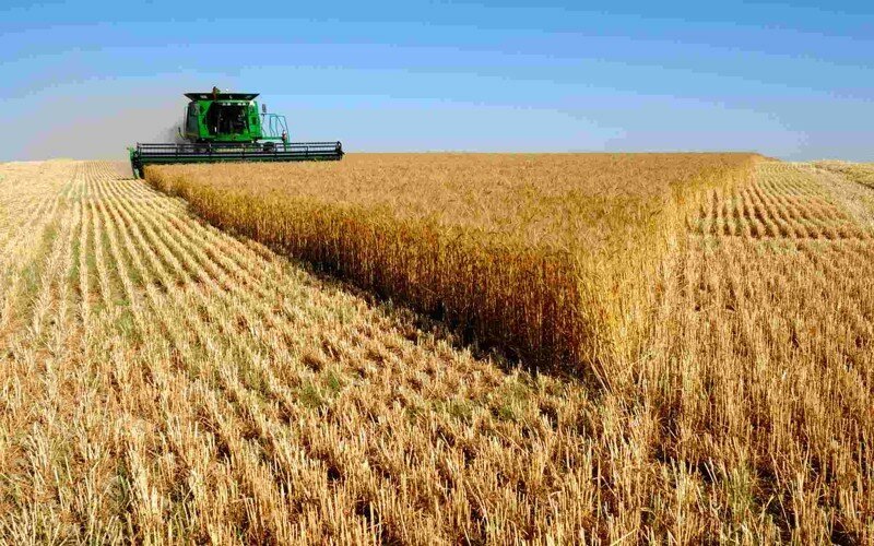 Россия — крупнейший поставщик пшеницы в мире