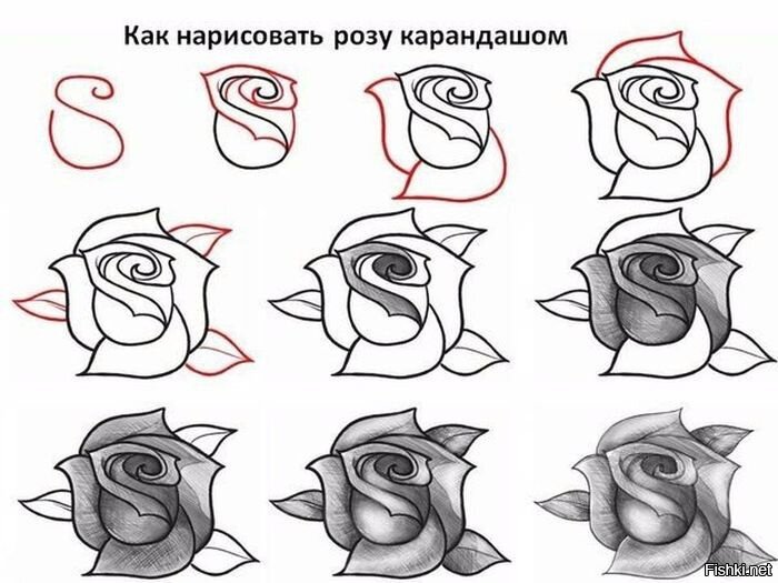 Из солянки