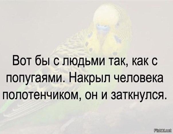 Из солянки