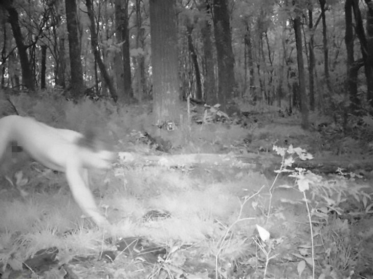Человек-тигр носился по лесу голым: его зафиксировала скрытая камера