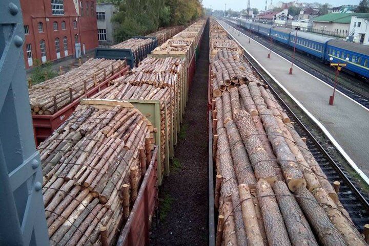 Украинский лес вывозит австрийская компания в Румынию, оформляя его как дрова  Ист