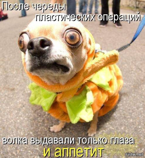 Из солянки