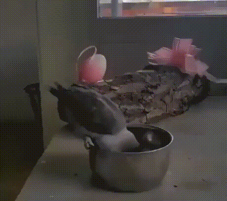 Не смог сдержаться