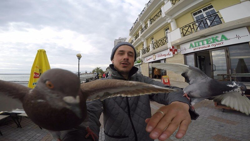 Сочинские голуби делают селфи с туристом