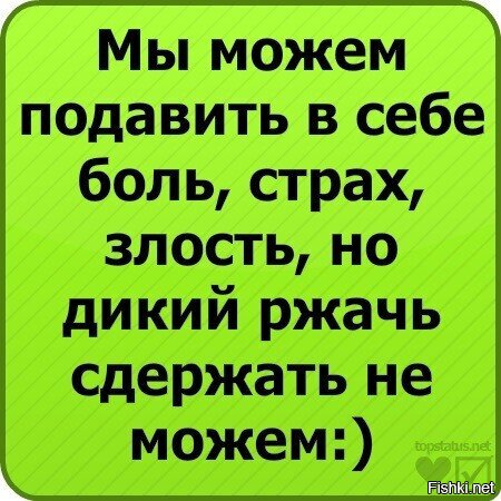 Из солянки