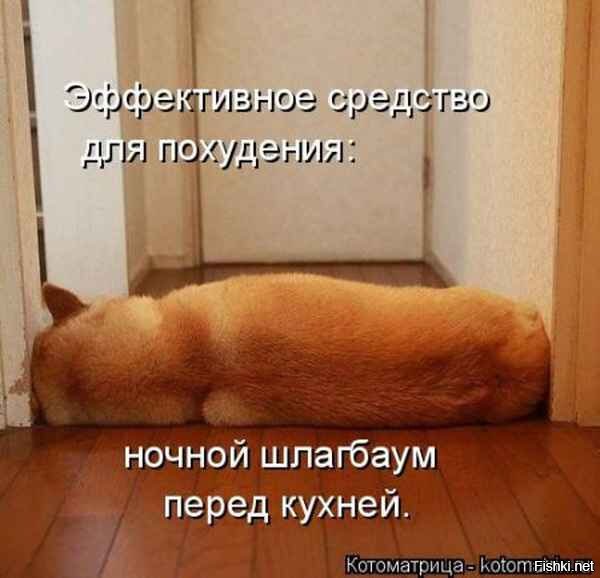 Из солянки