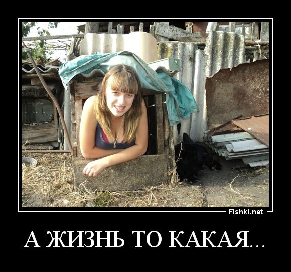 А жизнь то какая...