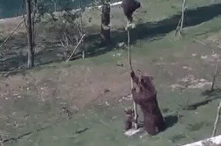 Из солянки