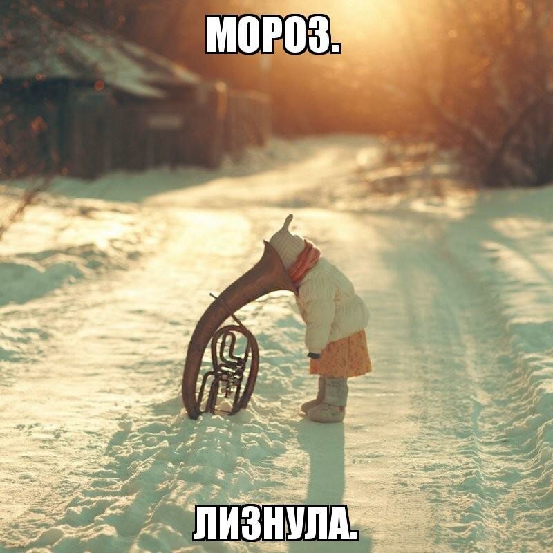 Из солянки