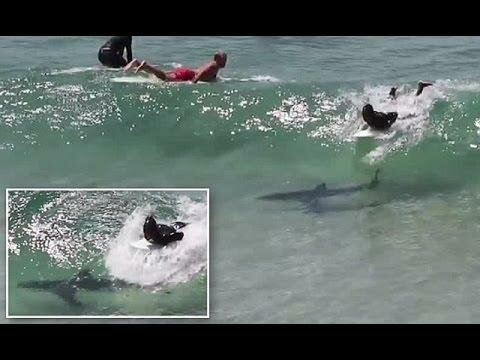 Это видео показывает на сколько серфинг может быть опасным